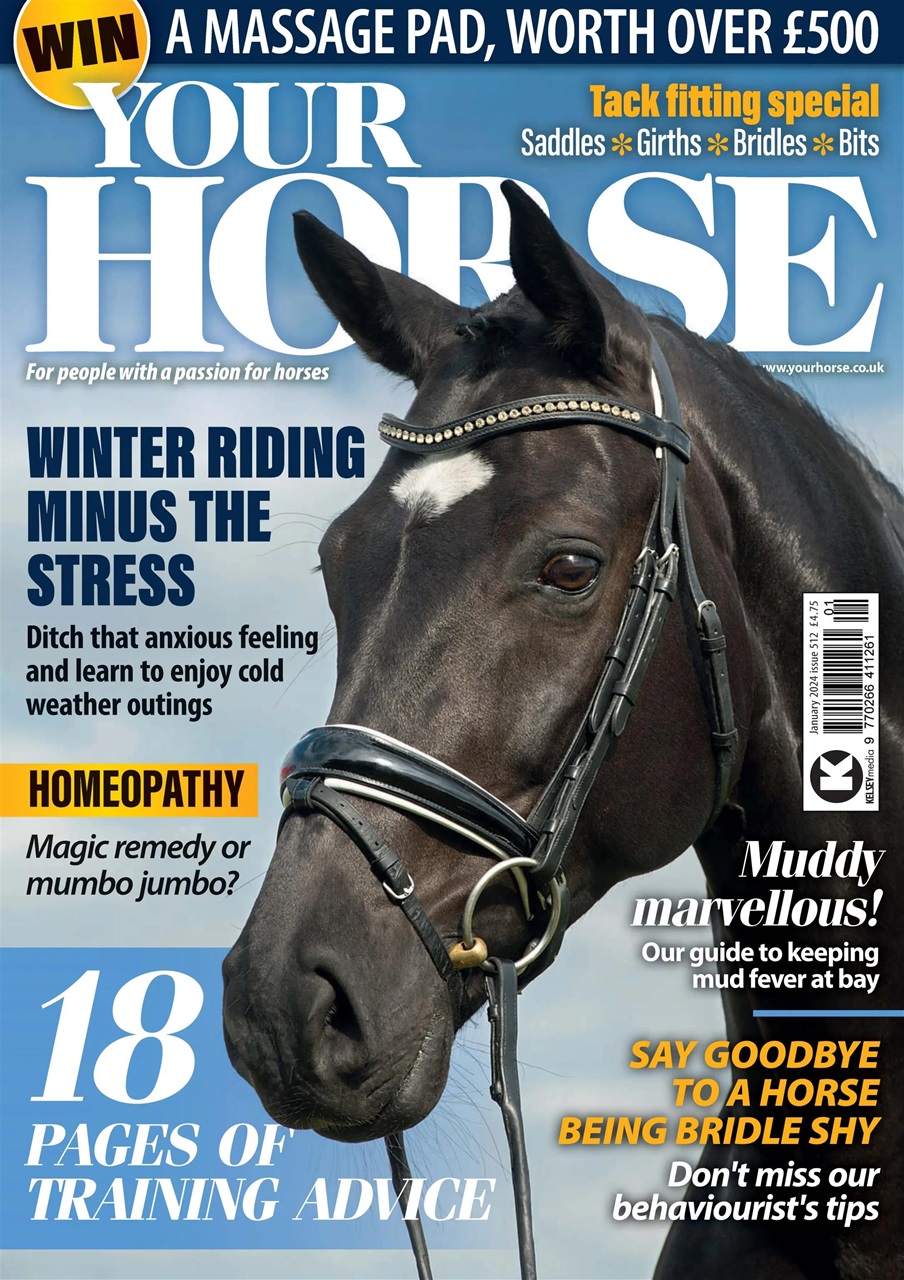 Your Horse Preview Pages