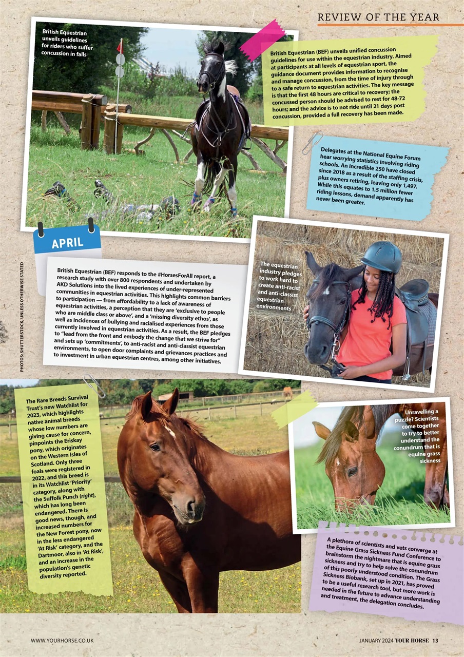 Your Horse Preview Pages