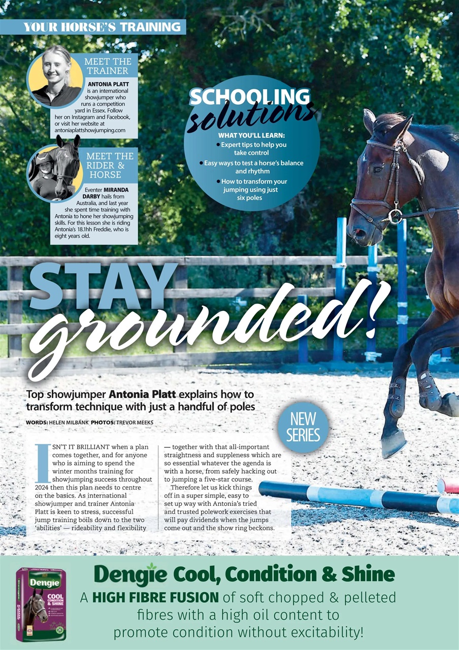 Your Horse Preview Pages