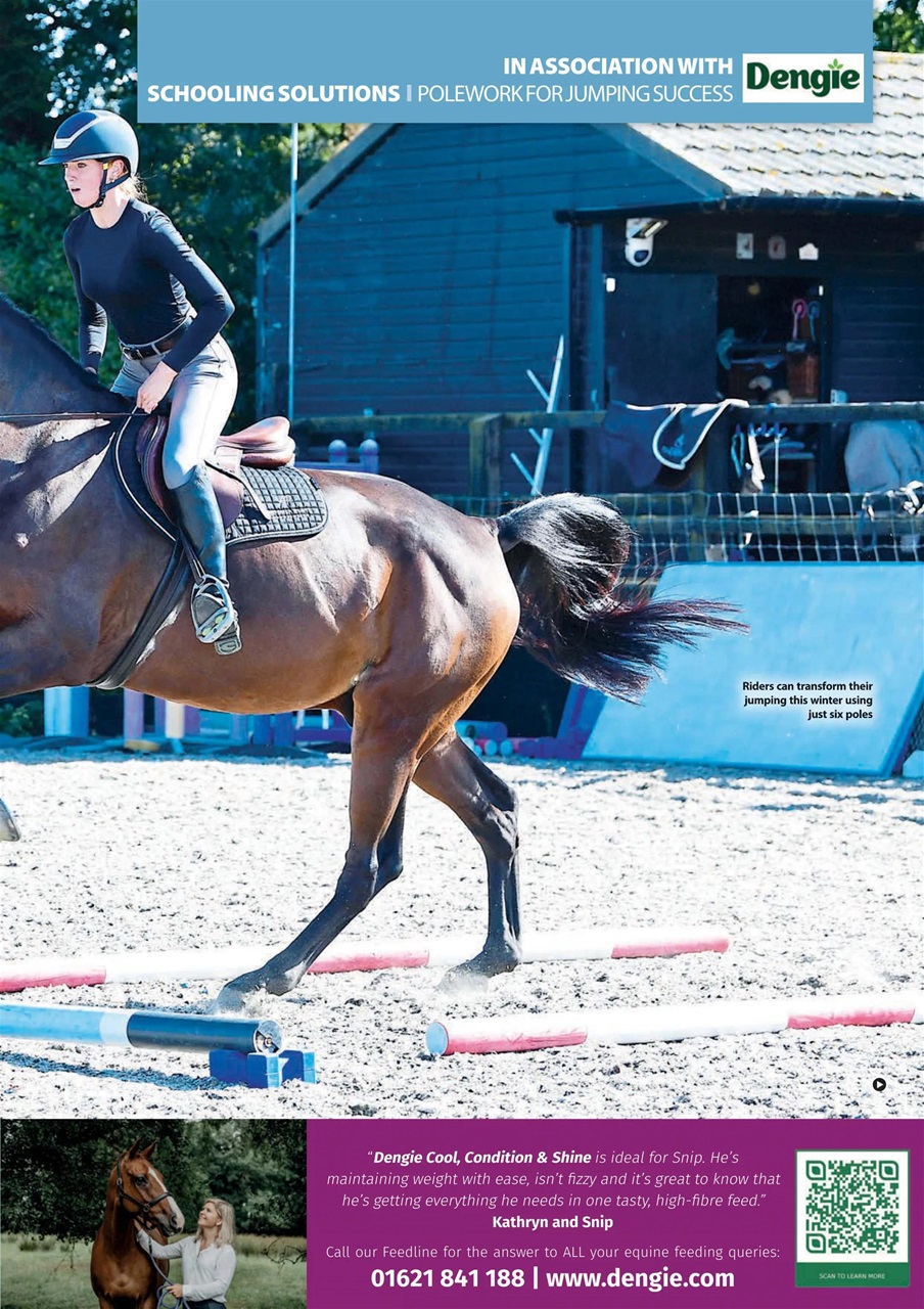 Your Horse Preview Pages