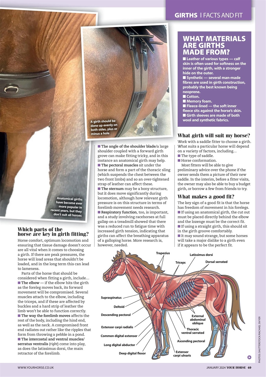 Your Horse Preview Pages