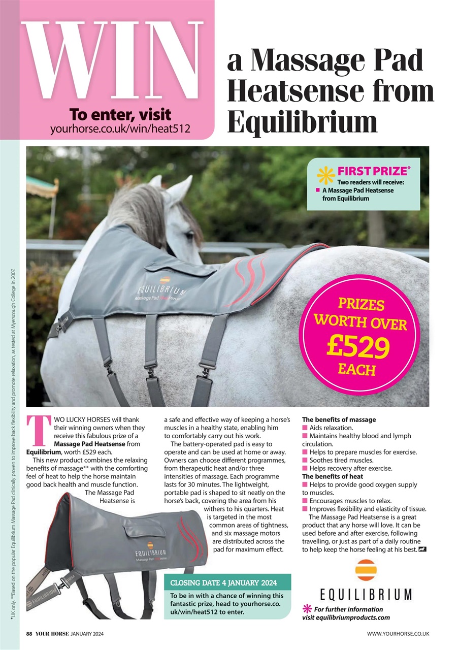 Your Horse Preview Pages