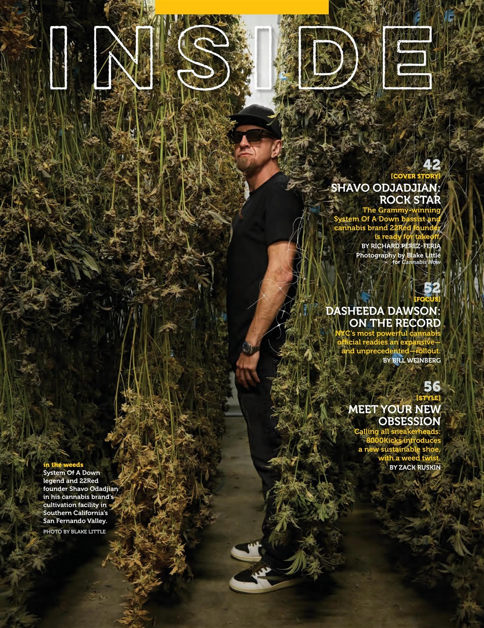 Cannabis Now Preview Pages