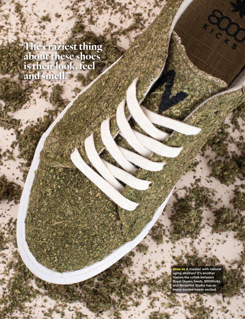 Cannabis Now Preview Pages