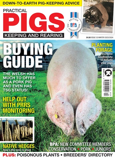 Practical Pigs issue 