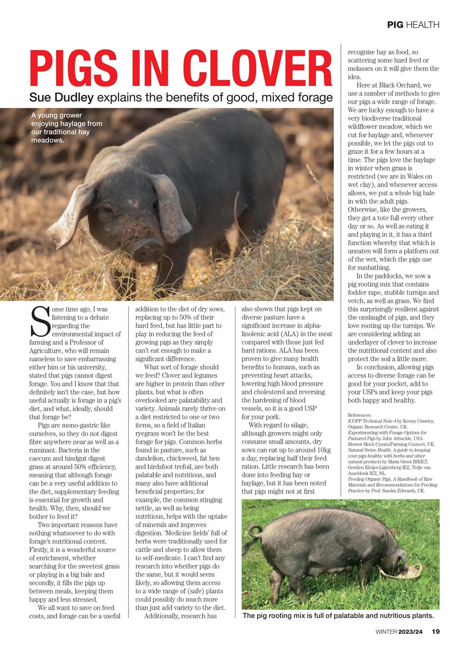 Practical Pigs Preview Pages