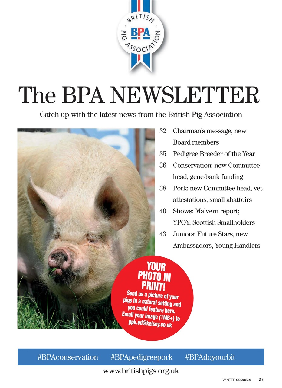 Practical Pigs Preview Pages