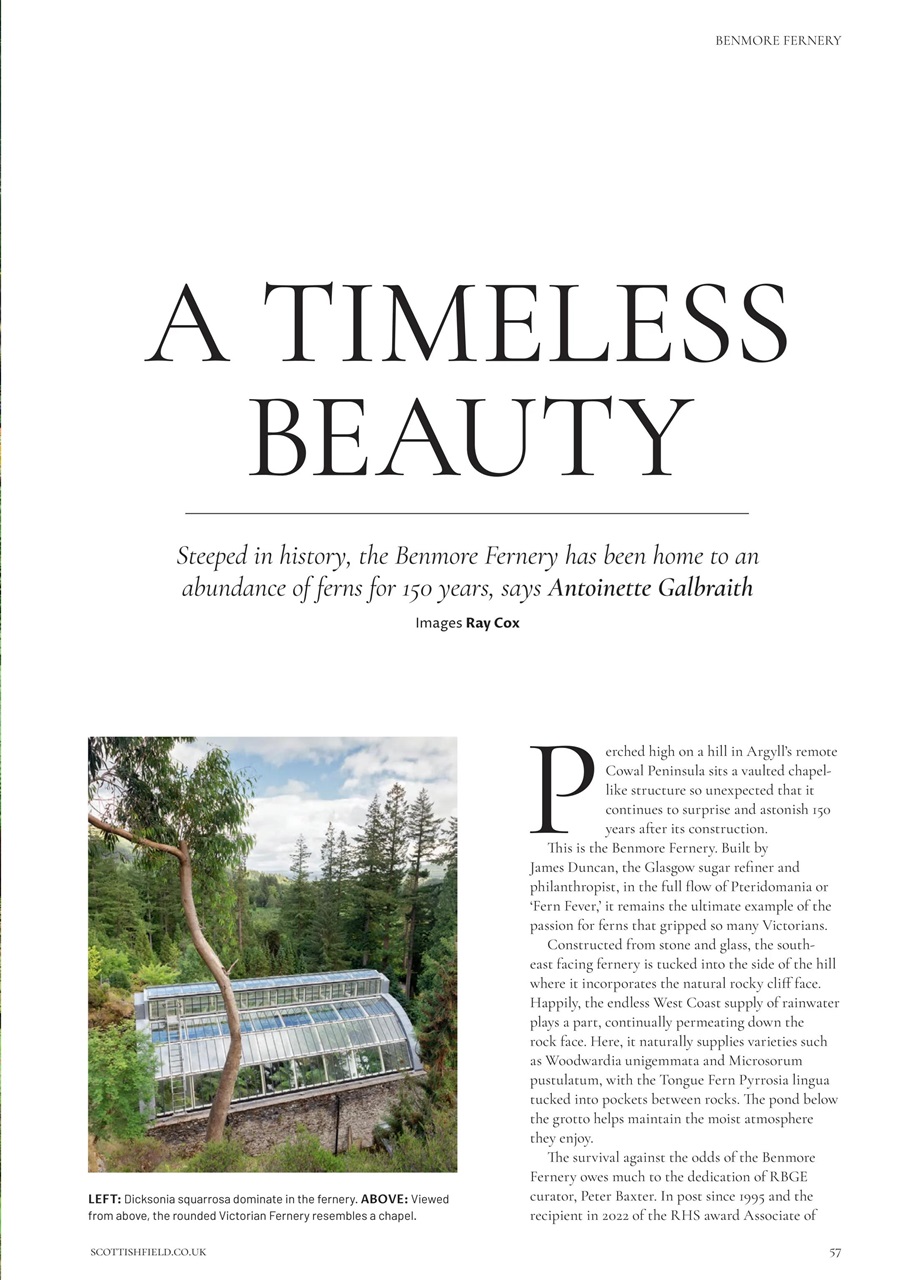 Scottish Field Preview Pages