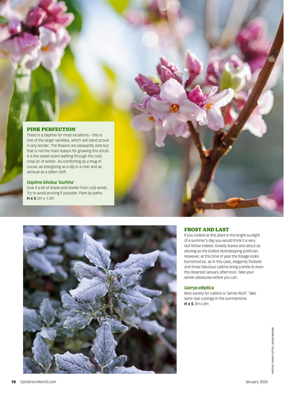 BBC Gardeners’ World Magazine Preview Pages
