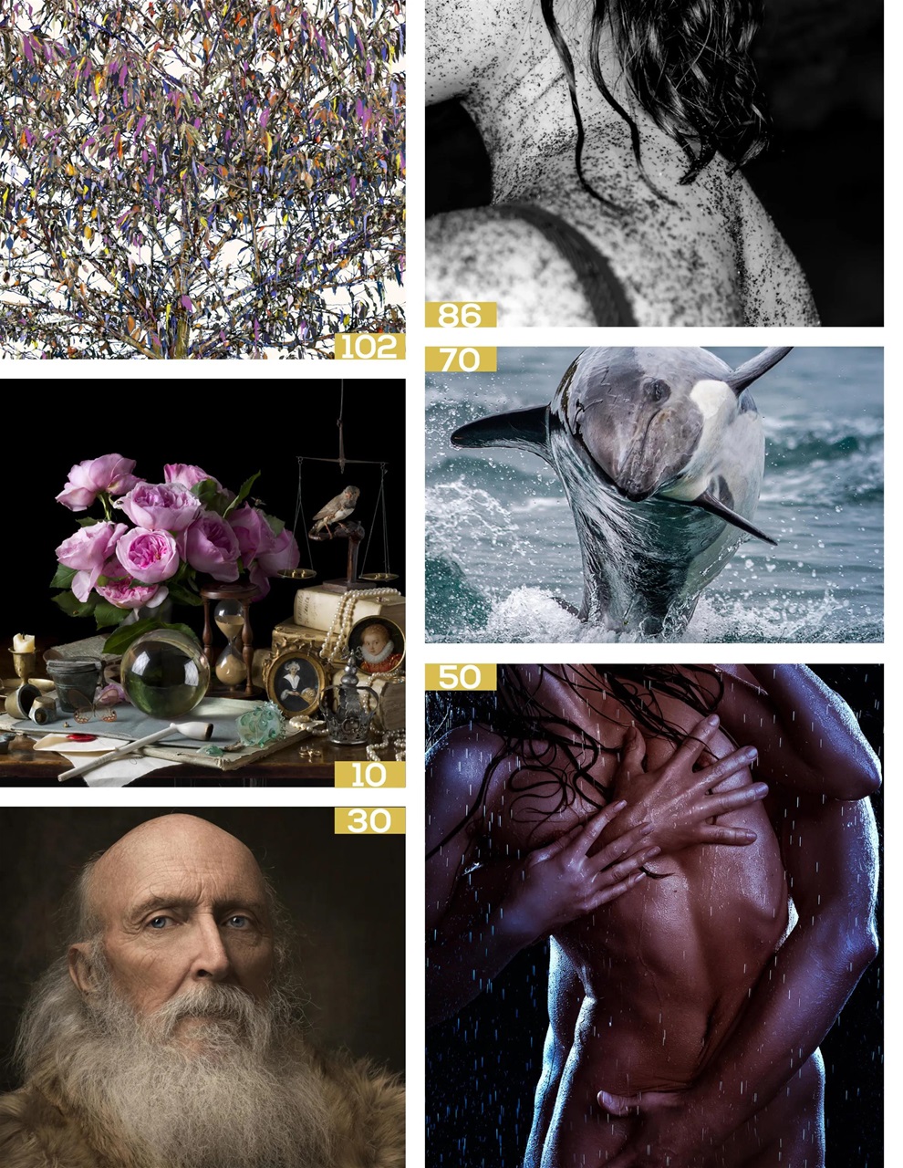 Lens Magazine Preview Pages