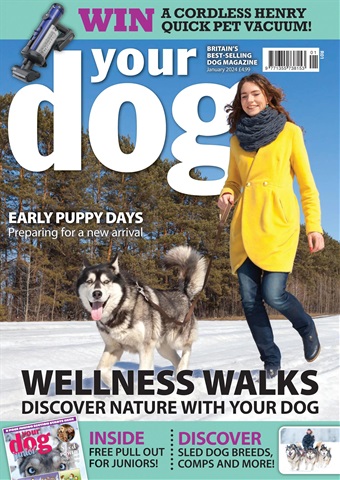 Your Dog issue January 2024
