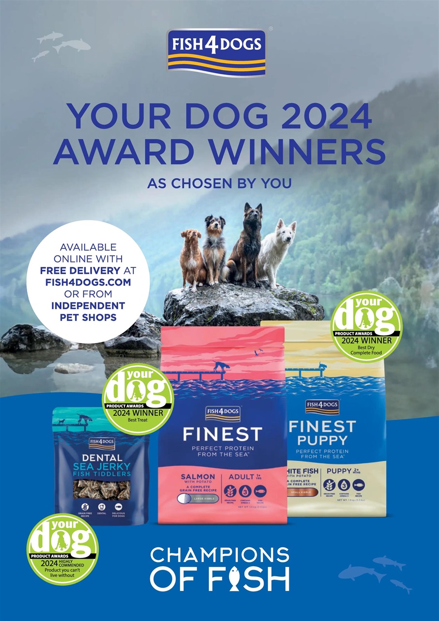 Your Dog Preview Pages
