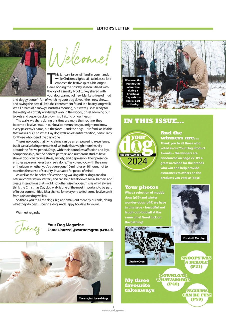 Your Dog Preview Pages
