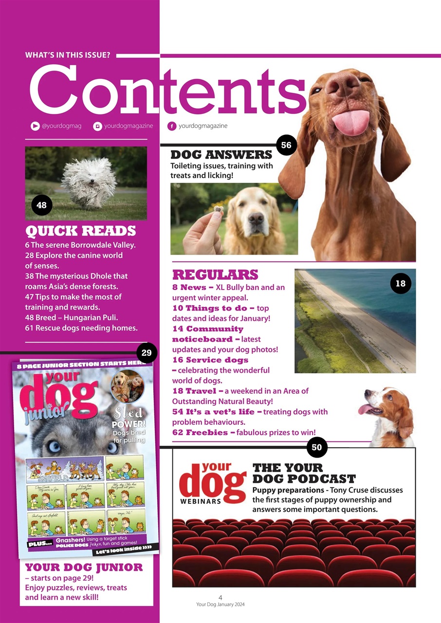 Your Dog Preview Pages