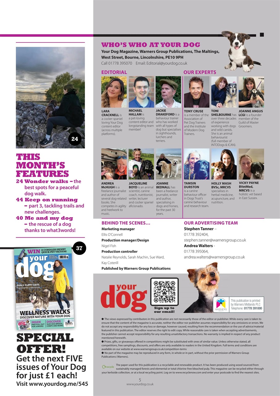Your Dog Preview Pages