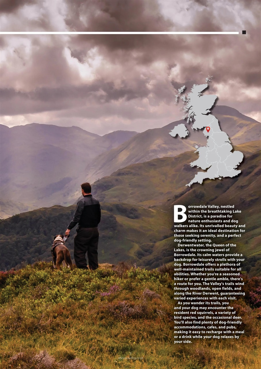 Your Dog Preview Pages