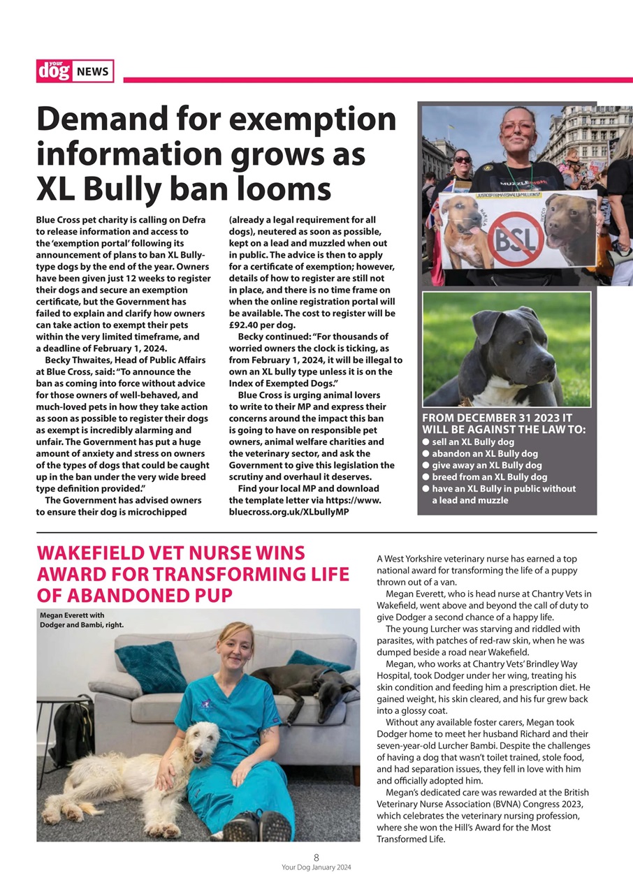 Your Dog Preview Pages