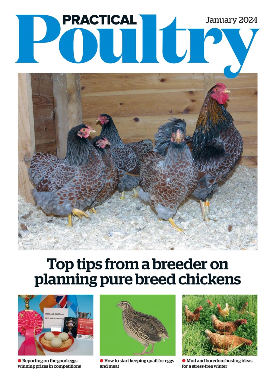The Country Smallholder Preview Pages