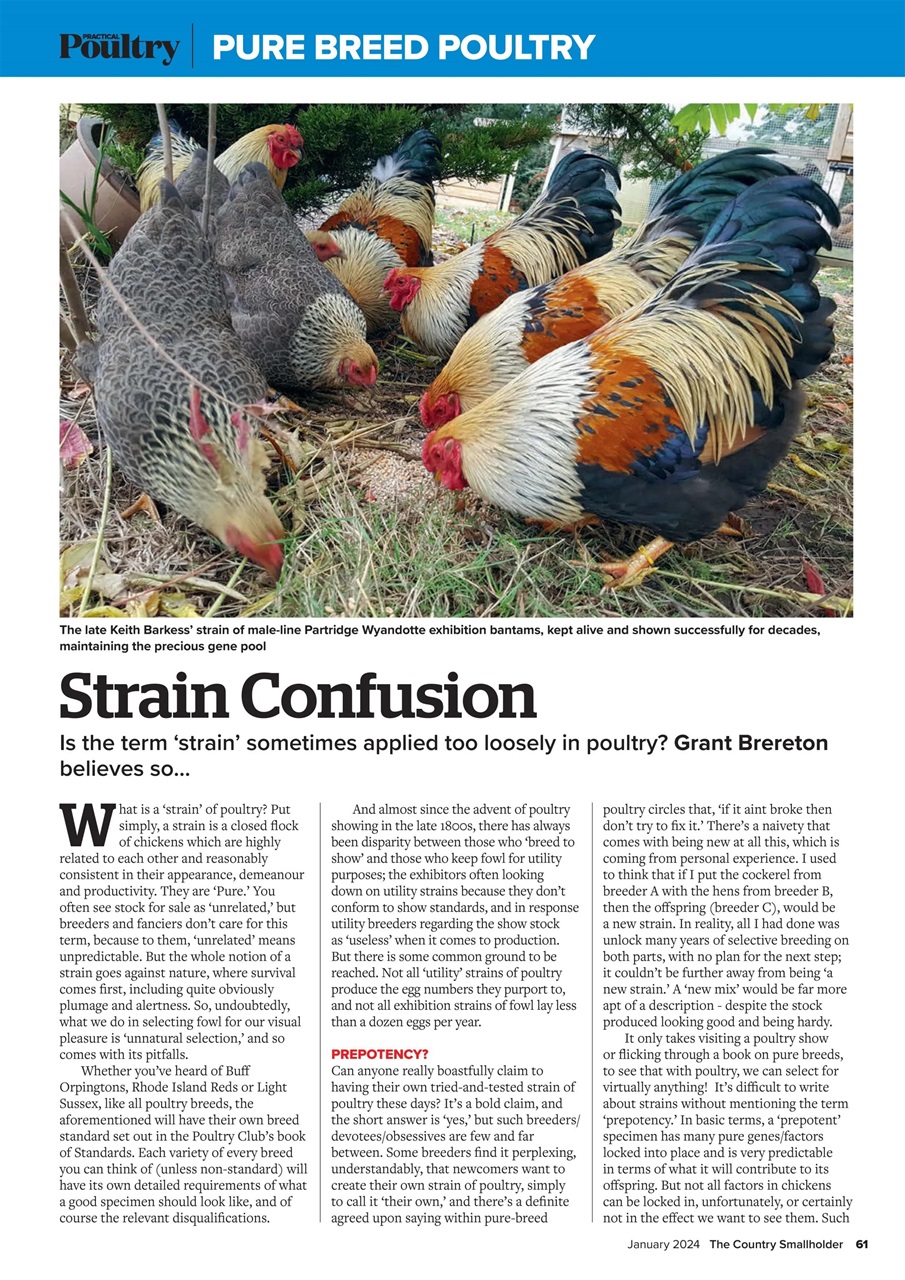 The Country Smallholder Preview Pages