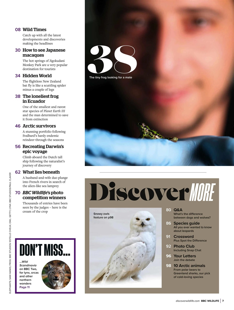 BBC Wildlife Magazine Preview Pages