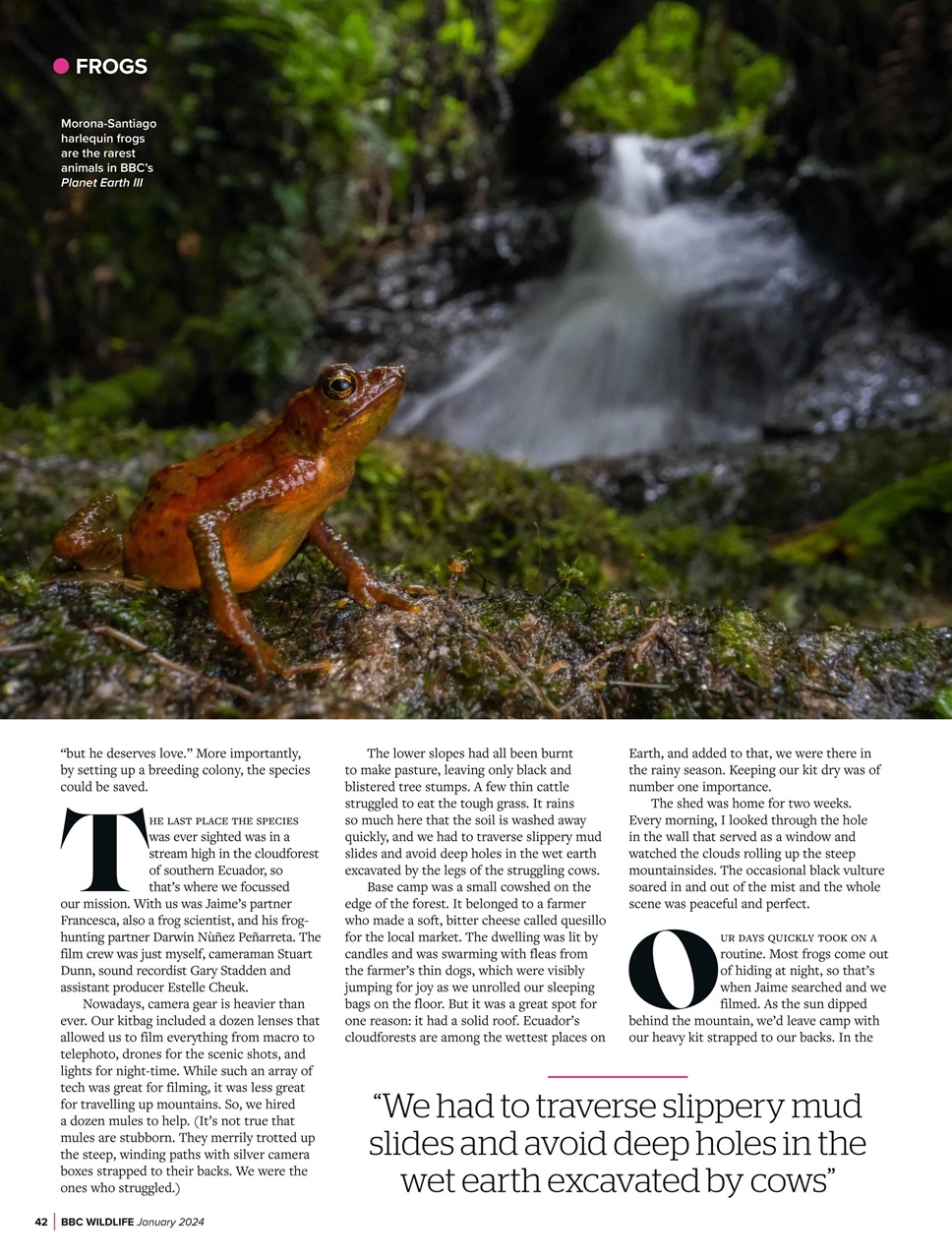 BBC Wildlife Magazine Preview Pages