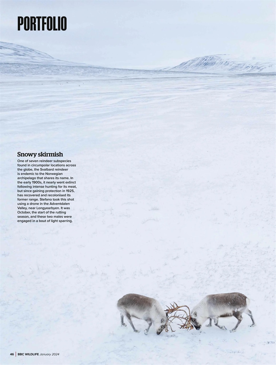 BBC Wildlife Magazine Preview Pages