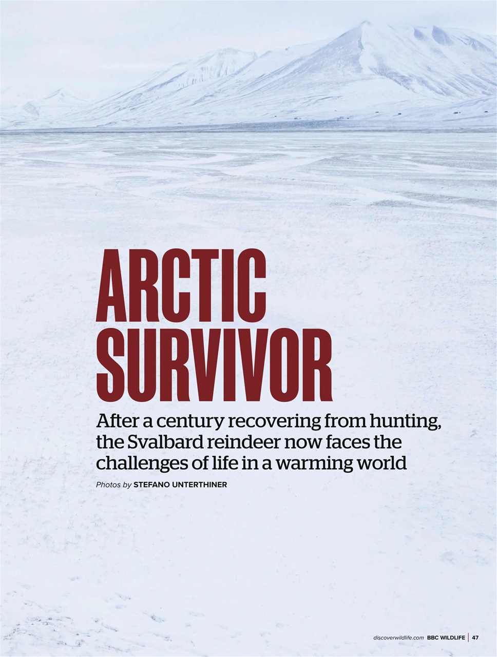 BBC Wildlife Magazine Preview Pages