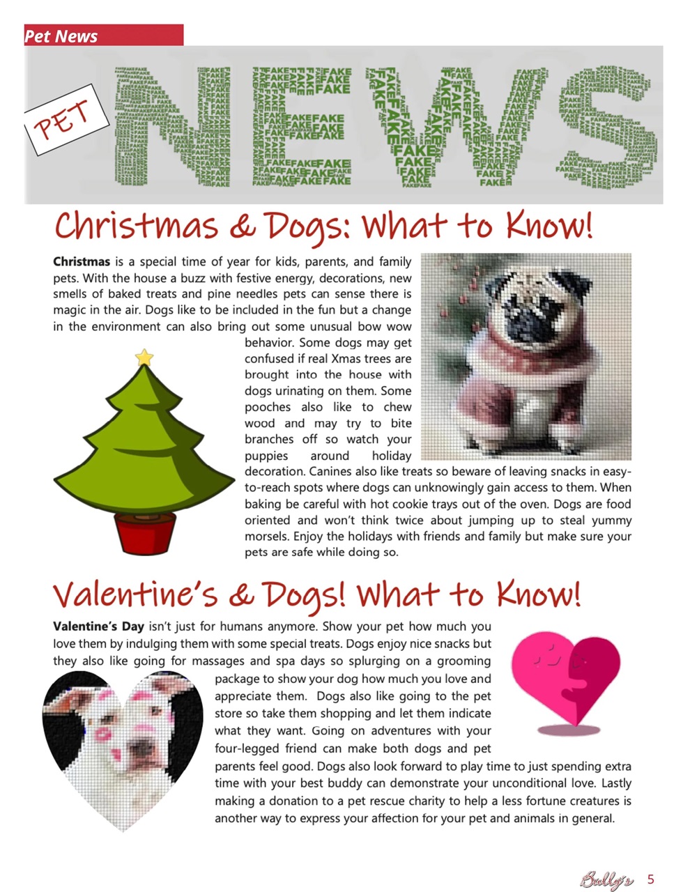 Bully’s - The Bulldog Magazine Preview Pages