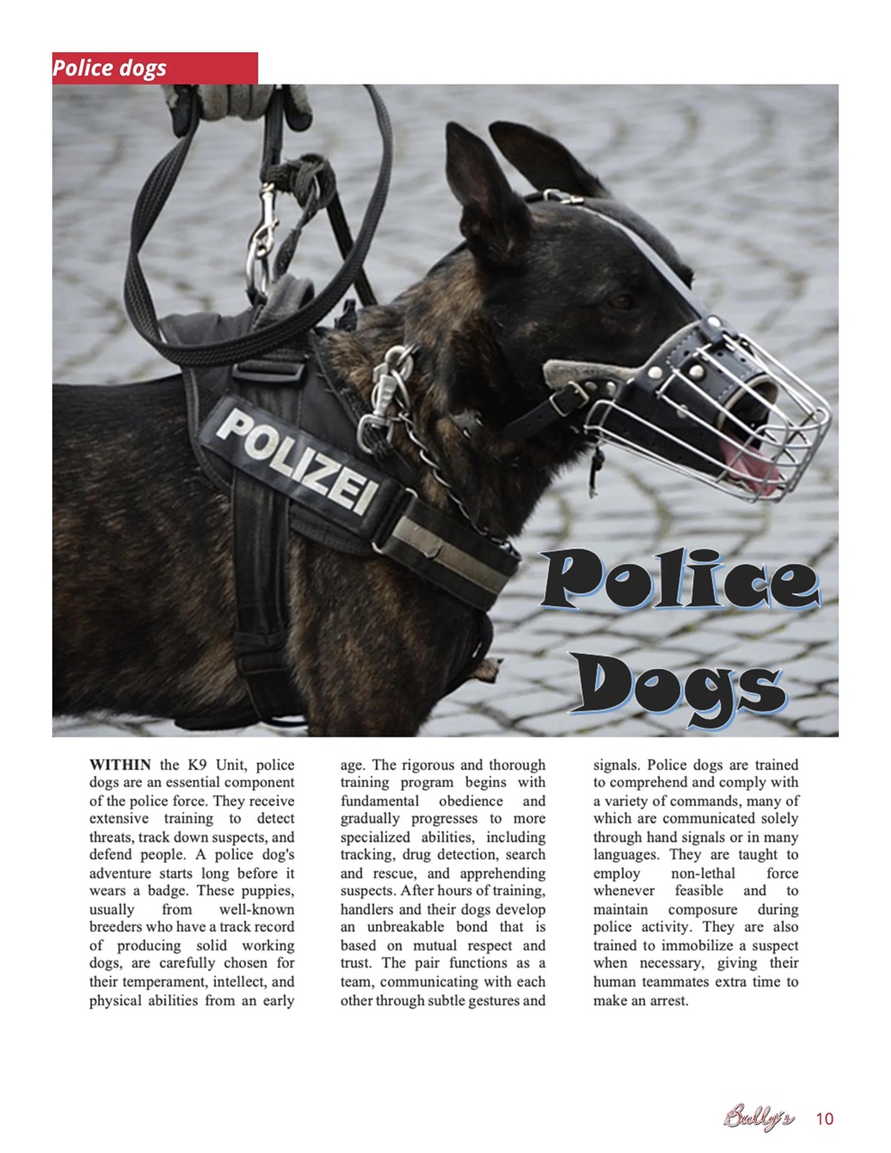 Bully’s - The Bulldog Magazine Preview Pages