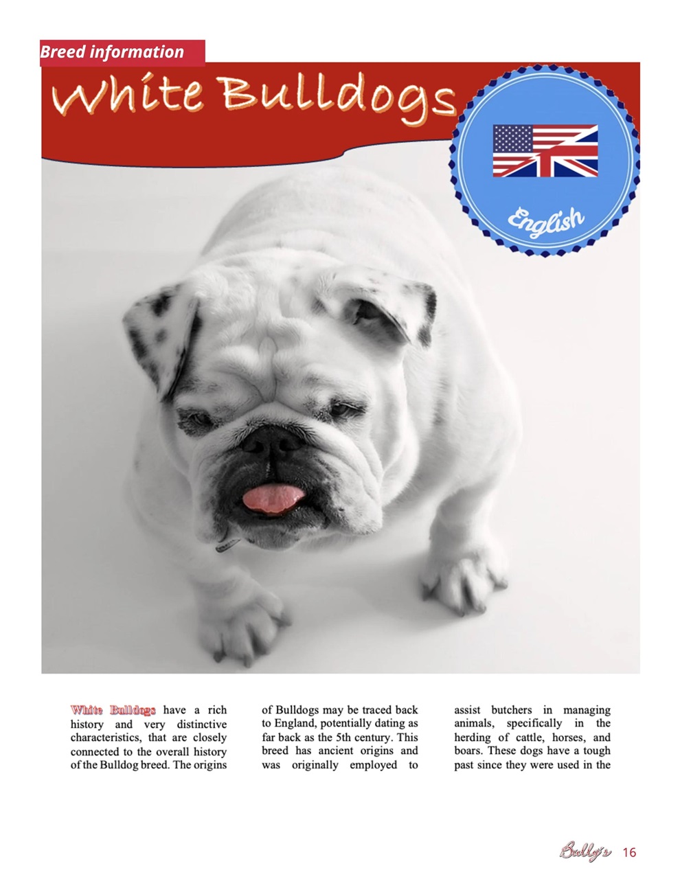Bully’s - The Bulldog Magazine Preview Pages