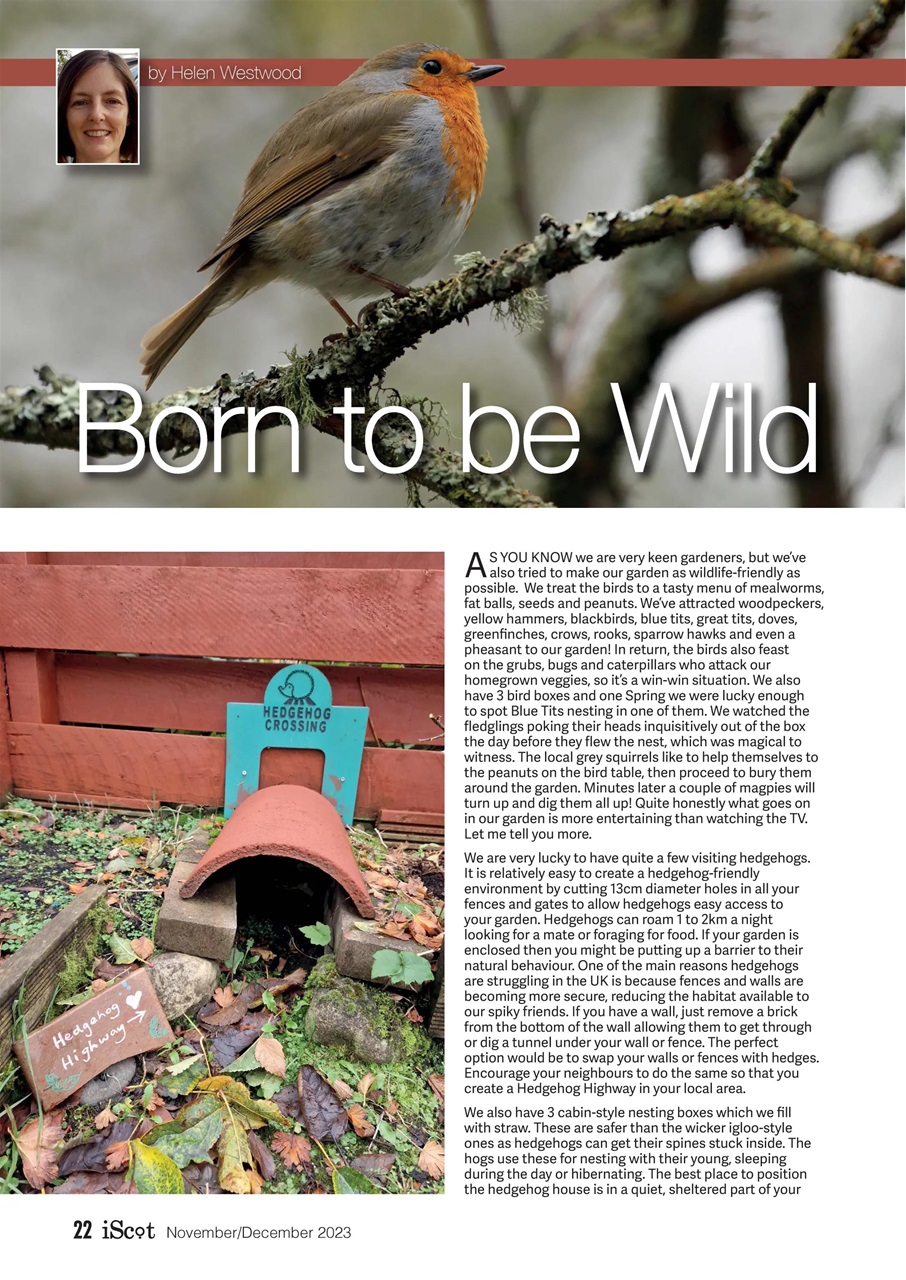 iScot Magazine Preview Pages