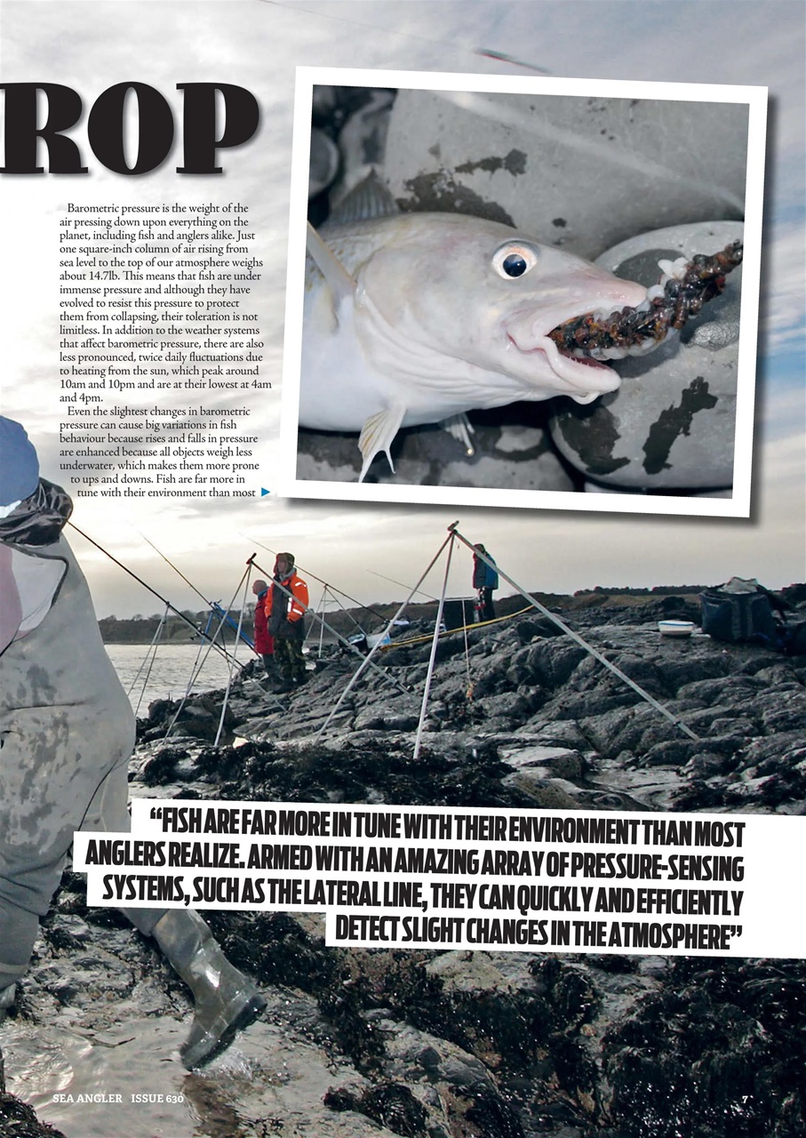 Sea Angler Preview Pages