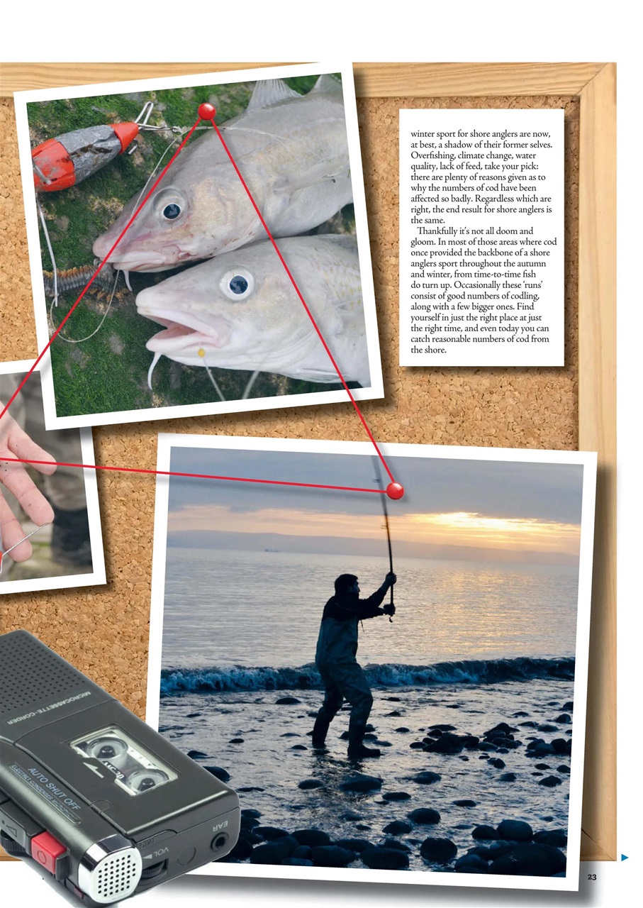 Sea Angler Preview Pages