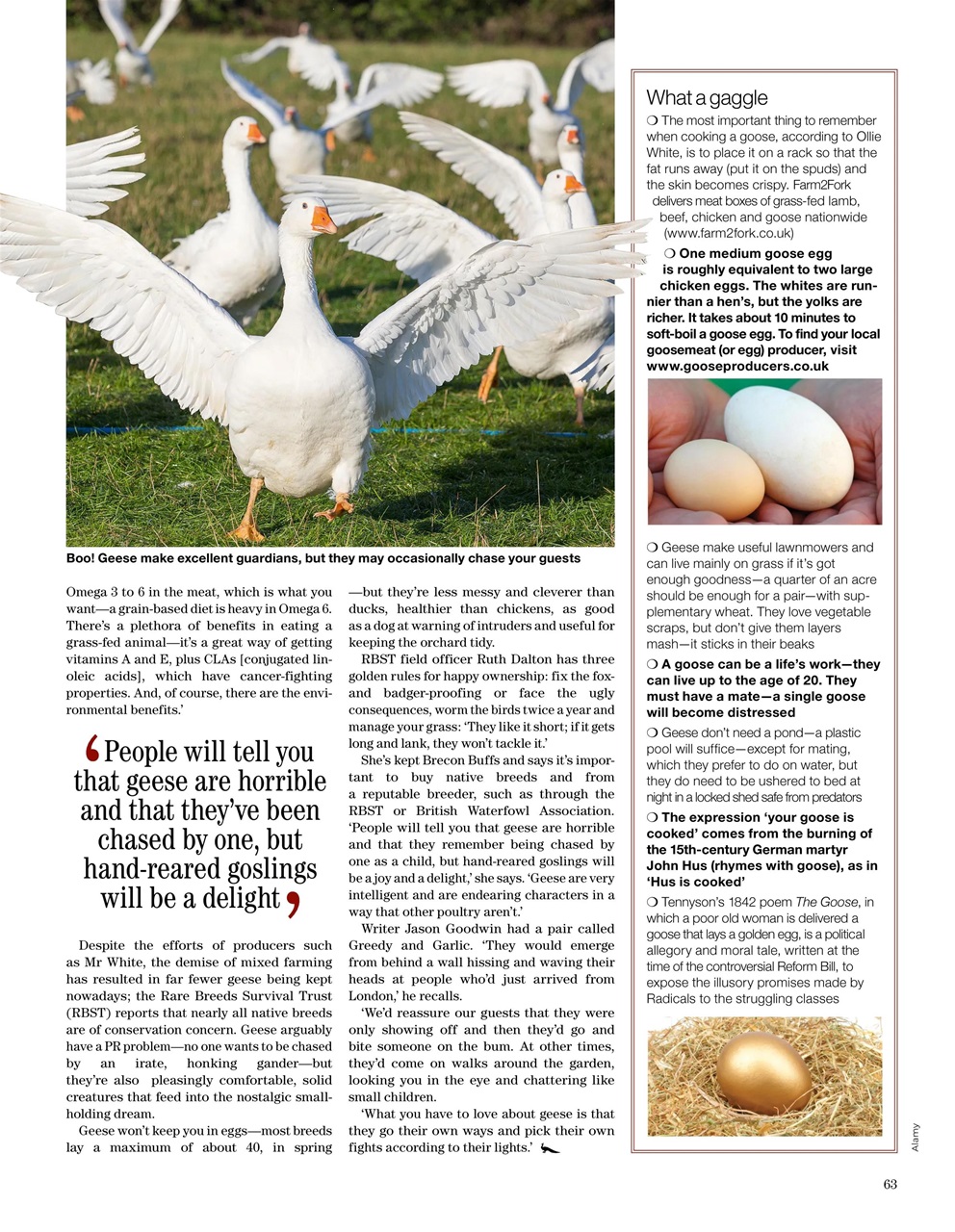 Country Life Bookazine Preview Pages