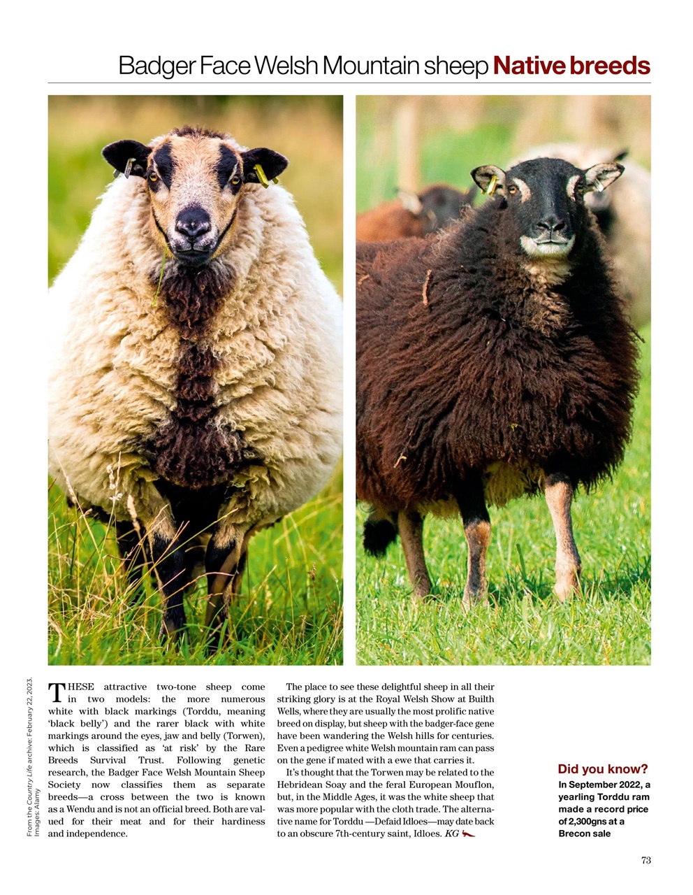 Country Life Bookazine Preview Pages