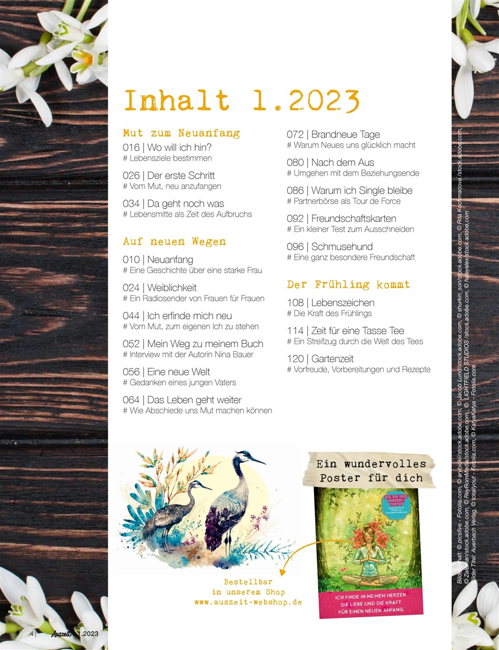 Auszeit Preview Pages