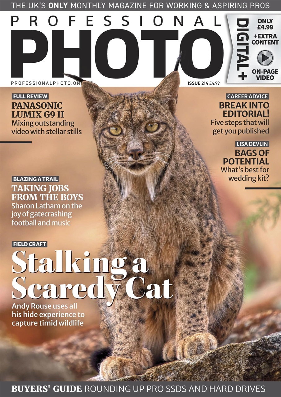 Professional Photo Preview Pages