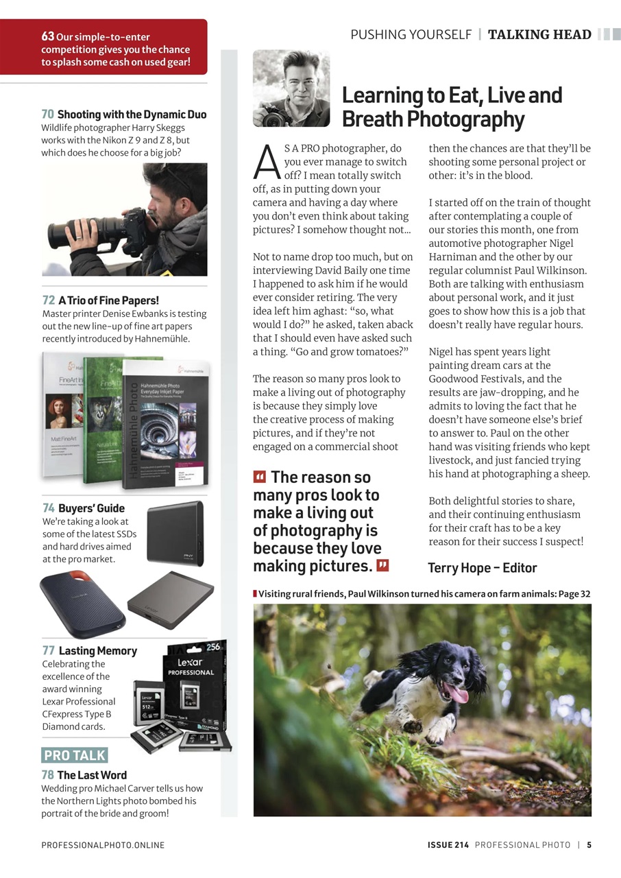 Professional Photo Preview Pages