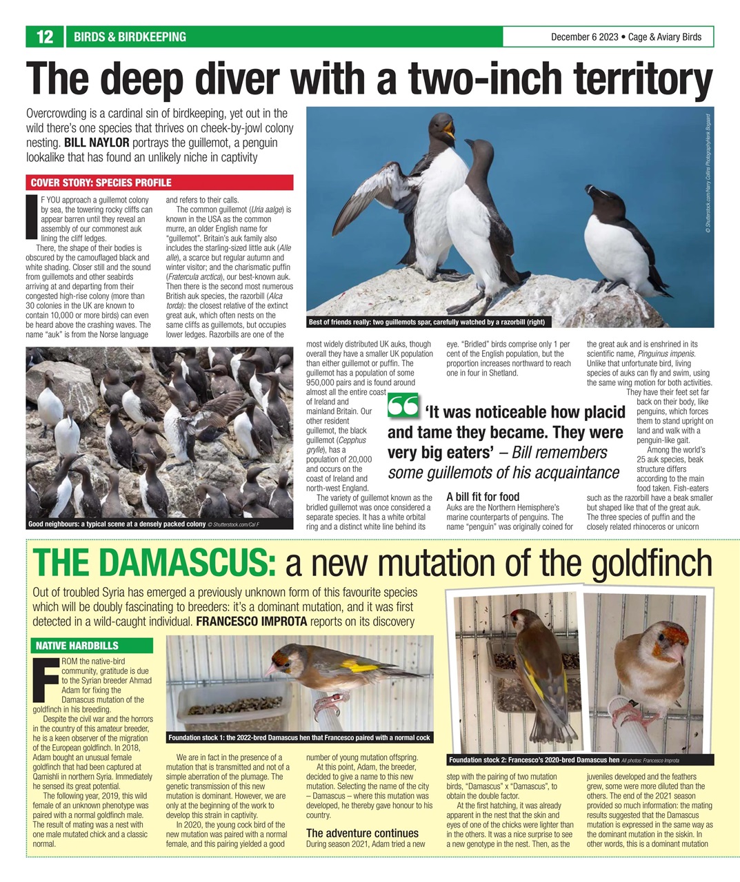 Cage & Aviary Birds Preview Pages