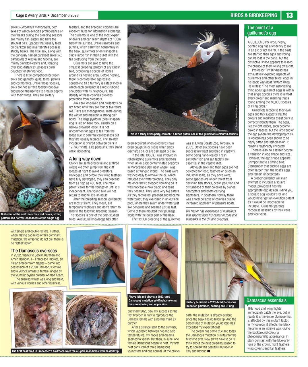 Cage & Aviary Birds Preview Pages