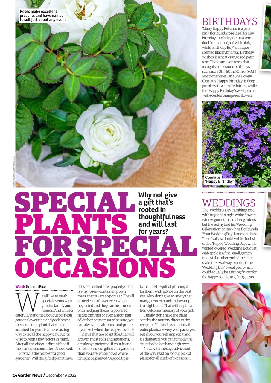 Garden News Preview Pages