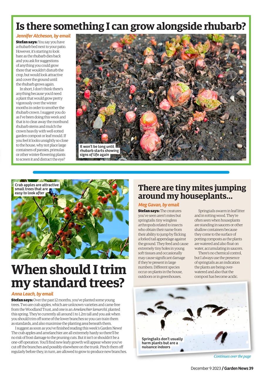 Garden News Preview Pages