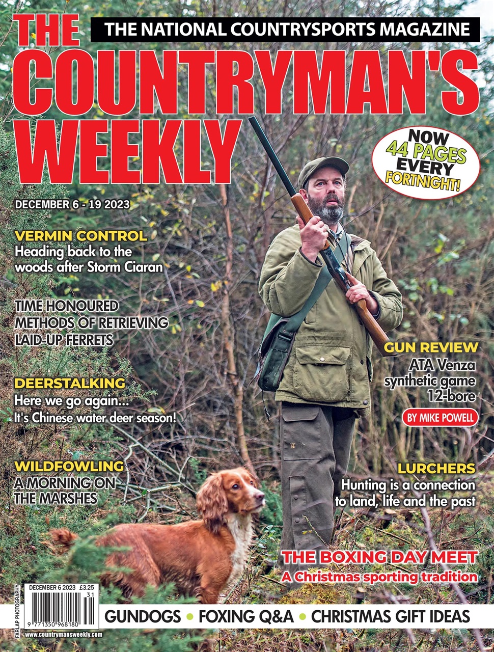 Countryman's Weekly Preview Pages