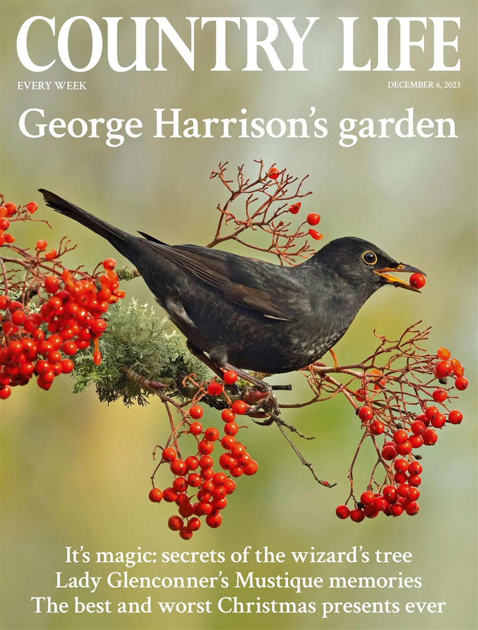 Country Life Preview Pages