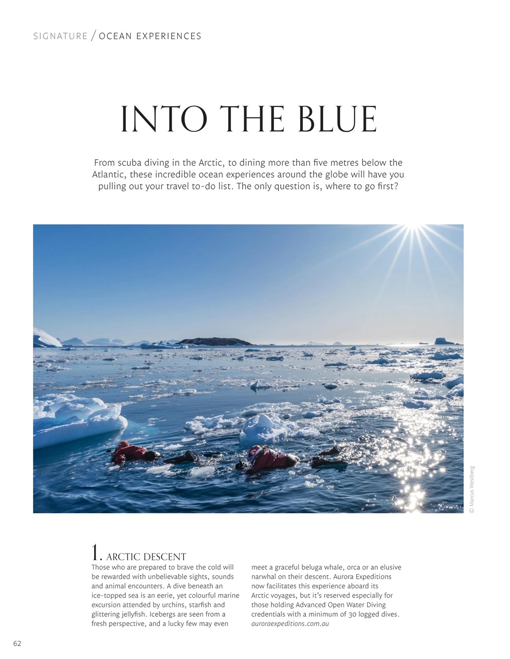 Signature Luxury Travel & Style Preview Pages