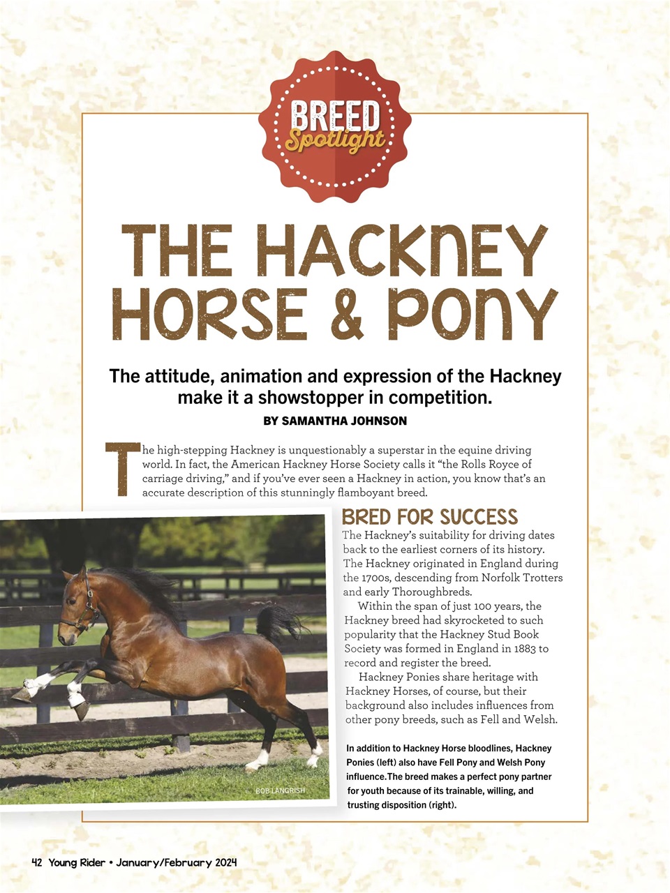 Young Rider Magazine Preview Pages