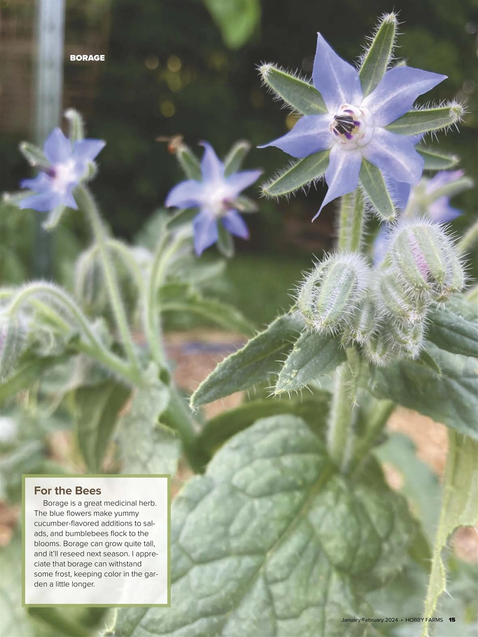 Hobby Farms Magazine Preview Pages