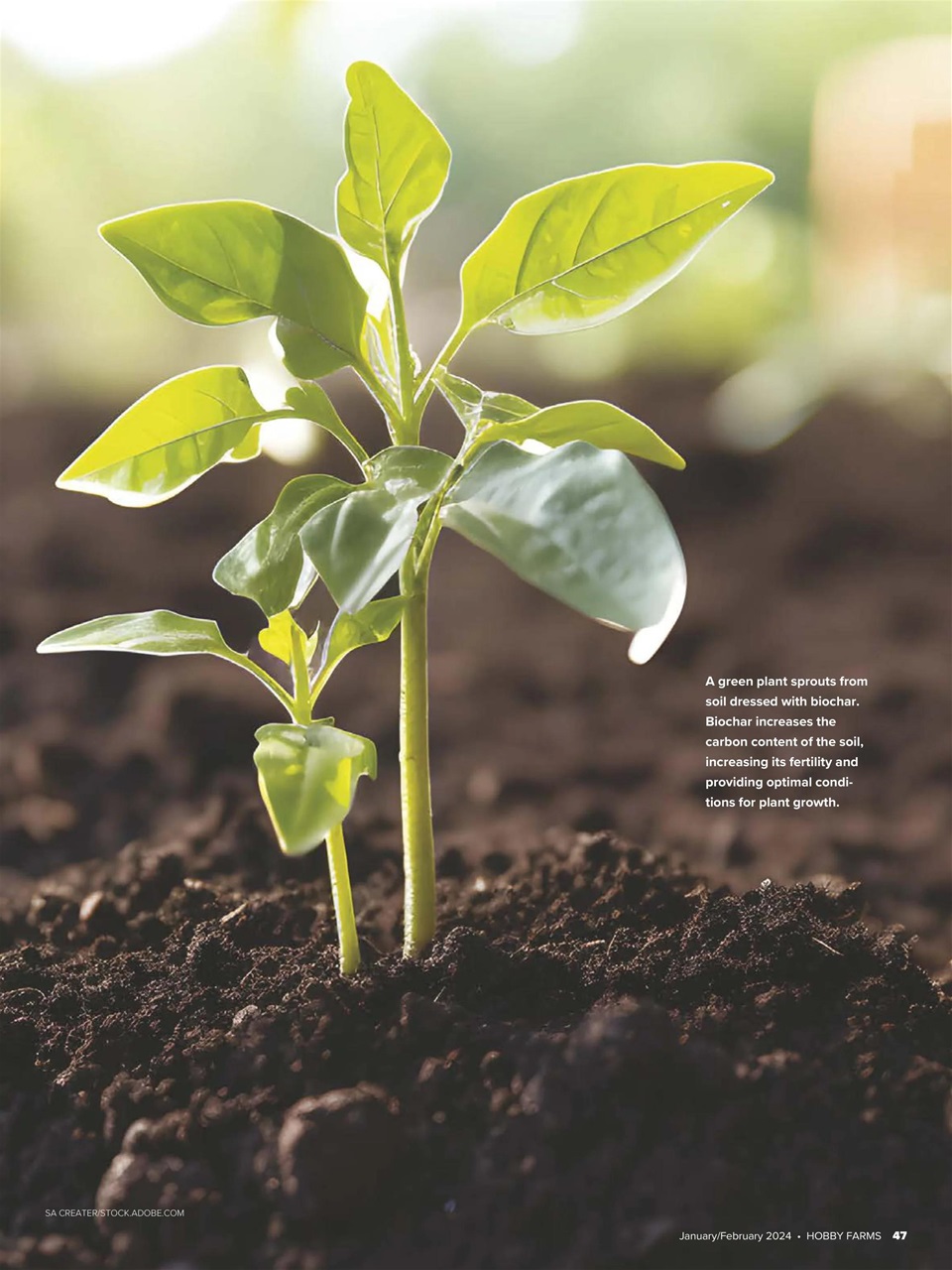 Hobby Farms Magazine Preview Pages