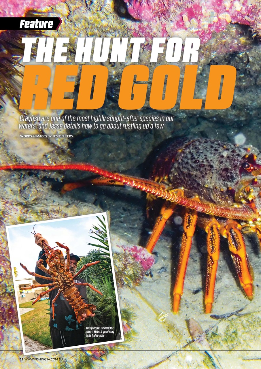 Fishing SA Preview Pages