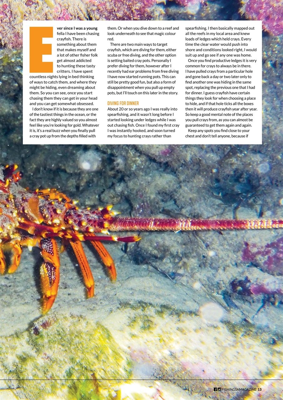 Fishing SA Preview Pages